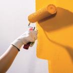 Pintura plástica mate