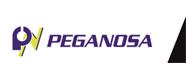 PEGANOSA
